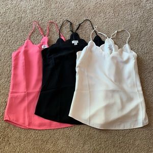 Bundle of Scallop Tanks